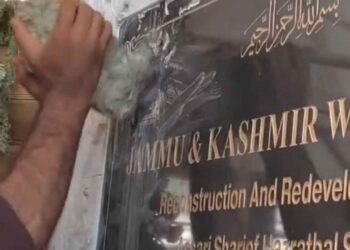 Hazratbal Incident: Over 50 Detained for Questioning