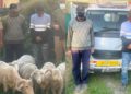 Ganderbal Police Crack Two Livestock Theft Cases, Recover Sheep Worth Lakhs; 3 Arrested
