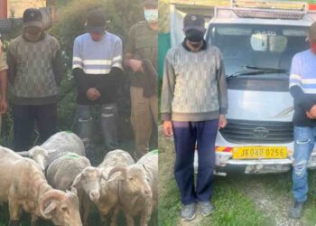 Ganderbal Police Crack Two Livestock Theft Cases, Recover Sheep Worth Lakhs; 3 Arrested