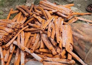 Kashmir Meat Scandal: Two Samples of Kababs, Roasted Chicken Found Unsafe in Srinagar