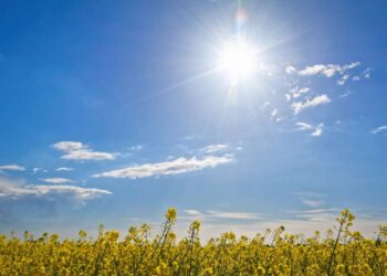 MeT Forecasts Dry Spell in J&K Until Oct 05