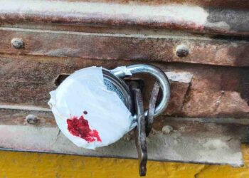 Three Unregistered Diagnostic Labs Sealed in Budgam