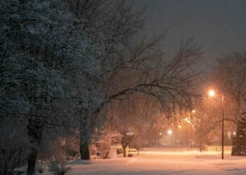 Light snow likely in higher reaches of Kashmir; fog to persist