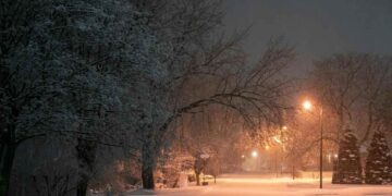 Light snow likely in higher reaches of Kashmir; fog to persist