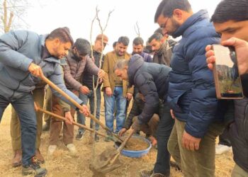 MRCS&G, GPA Launch Plantation Drive in Ganderbal to Boost Green Cover
