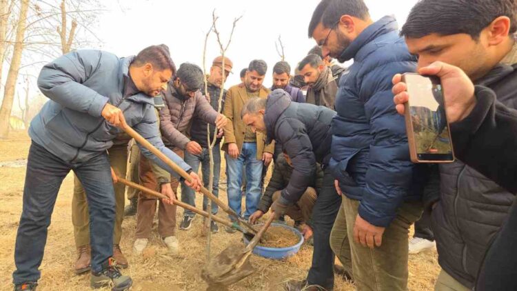 MRCS&G, GPA Launch Plantation Drive in Ganderbal to Boost Green Cover